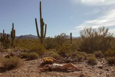 Rochelle safford desert day pt 2 01