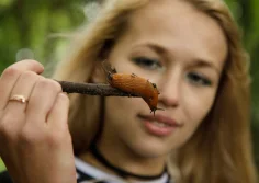 Vlada romashina slug bug blonde 01