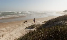 Windy Bluffs 2